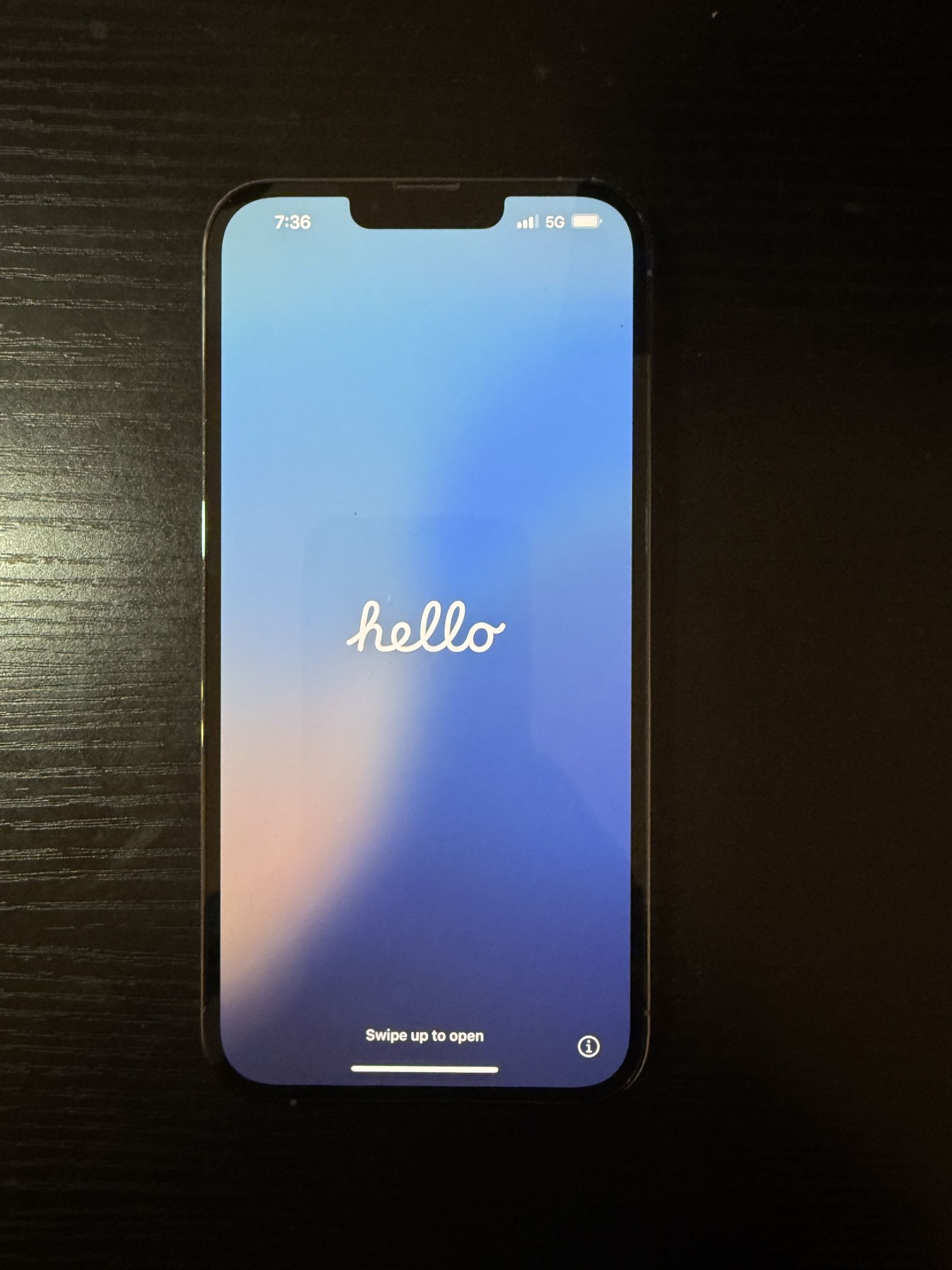 iPhone 13 Pro Max