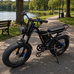 E-Bike 750w 48V 15.6Ah 20 Inches Double Shock Absorption Brushless Motor Ebike Mountain Sports