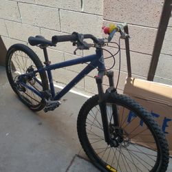 DH Bike 