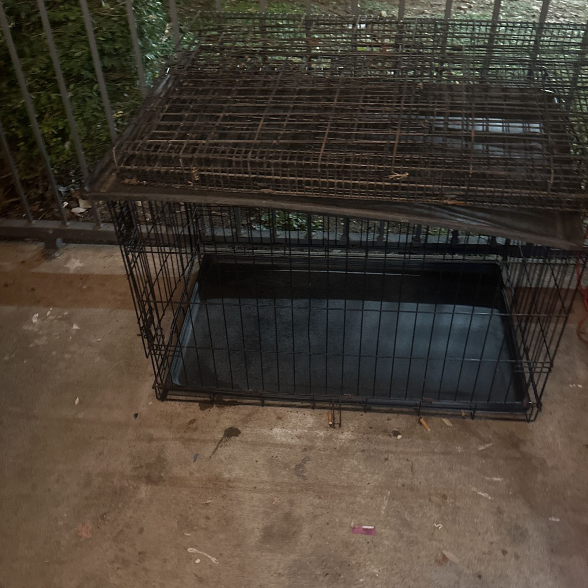 Two Large Dog Crates