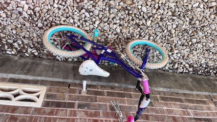 Girls Bike and helmets