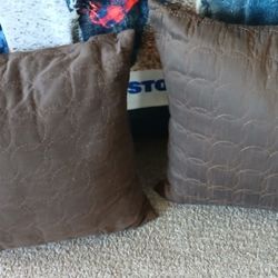 2 Throw Pillows 