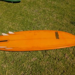 6-6 Taylor Bonzer Egg 