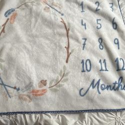Baby Milestone Month blanket