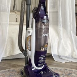   Angle Standard. Eureka - Pet Lover Plus Bagless Upright Vacuum - Mystic Purple.See more images Eureka - Pet Lover Plus Bagless Upright Vacuum - Myst