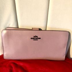 Coach Pouch Bag 