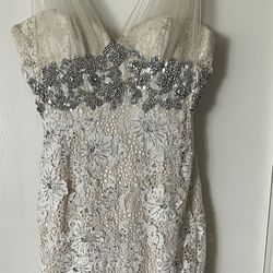 Winter Ball/Prom/Formal Dress!