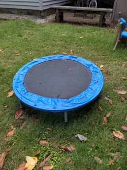 Mini Trampoline with Blue Safety Pad