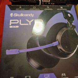 Skullcandy Headphones 