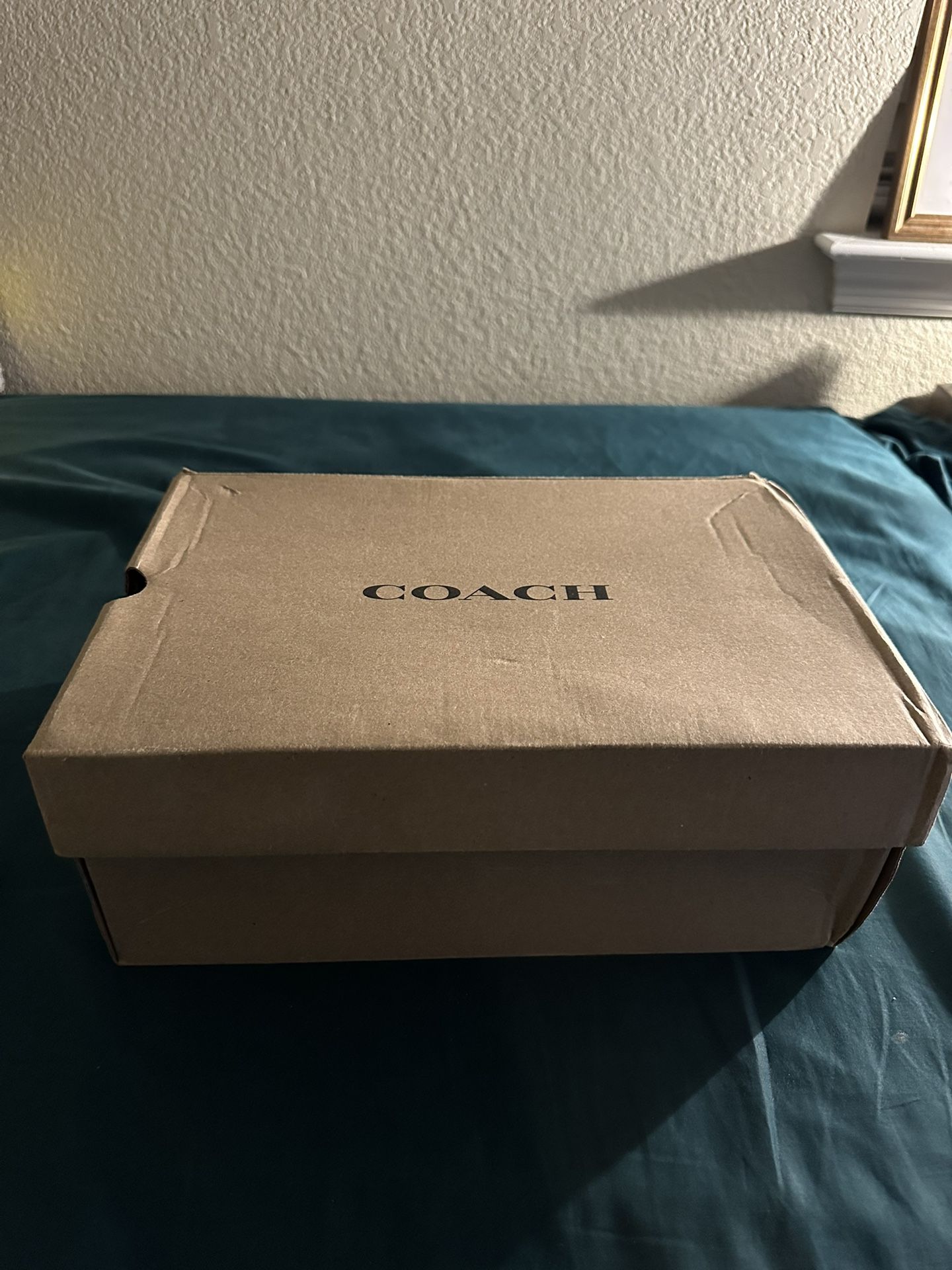 Coach Loafers