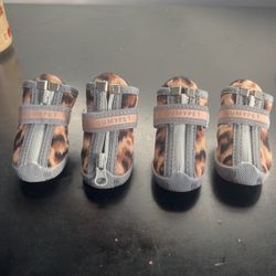 Small Dog Shoes