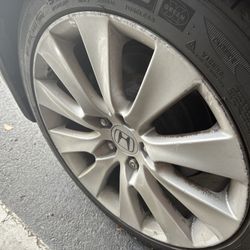 Accord Rims 