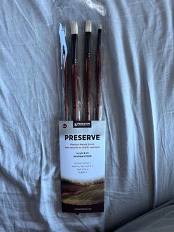 Princeton Preserve 5500 Natural Bristle 4-Pc Brush Set (New)