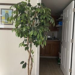 Artificial Plant