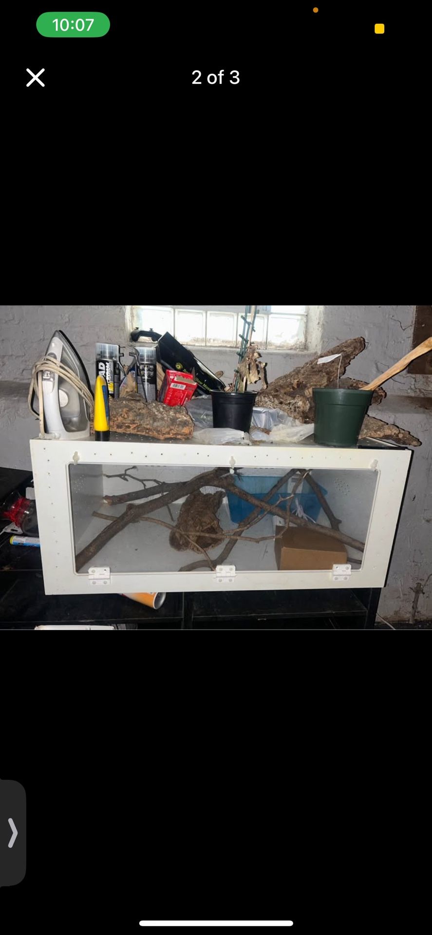 Reptile Tank