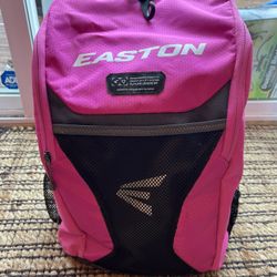 Bat Bag, Pink Easton 