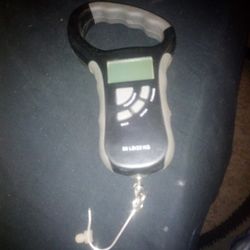 Ozark Trail Electronic 50lb Digital Scale