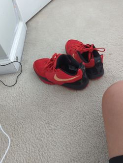 Ja 2 Halloween 50$ Cash Only