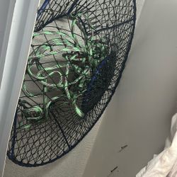 Una Red Para Agarrar Cangrejos 