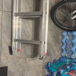 Werner stainless steel ladder