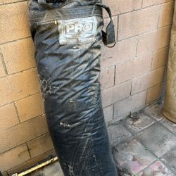 Pro Punching Bag