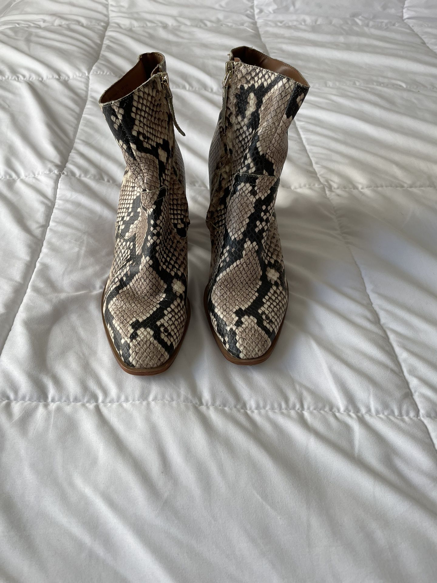 Aldo Thrilled Snake Embossed Ankle Boots