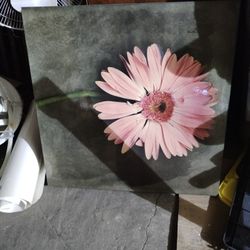 Daisy Painting 