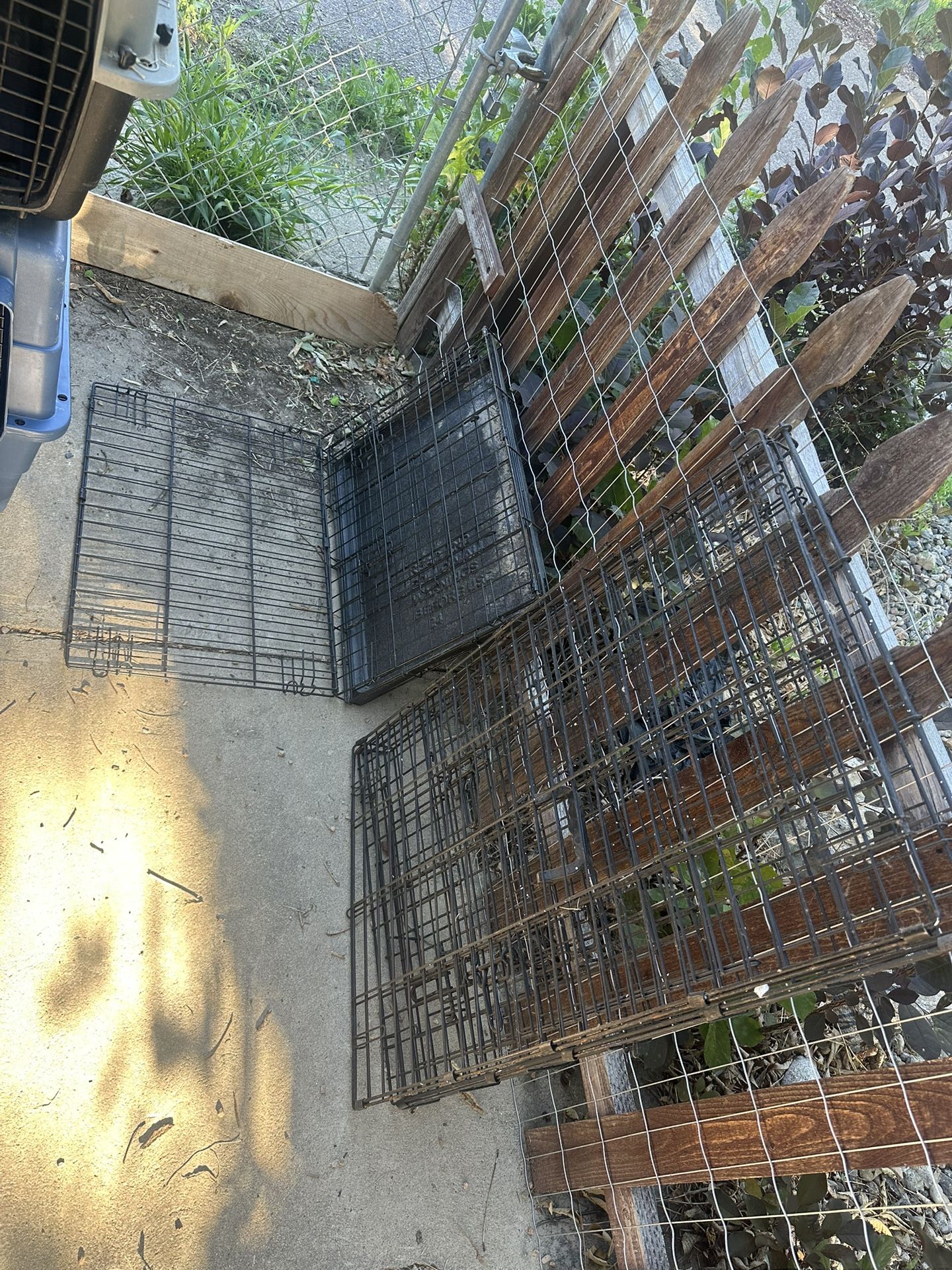 Kennels