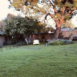 Daycare In West Covina/South Hills Area $30 