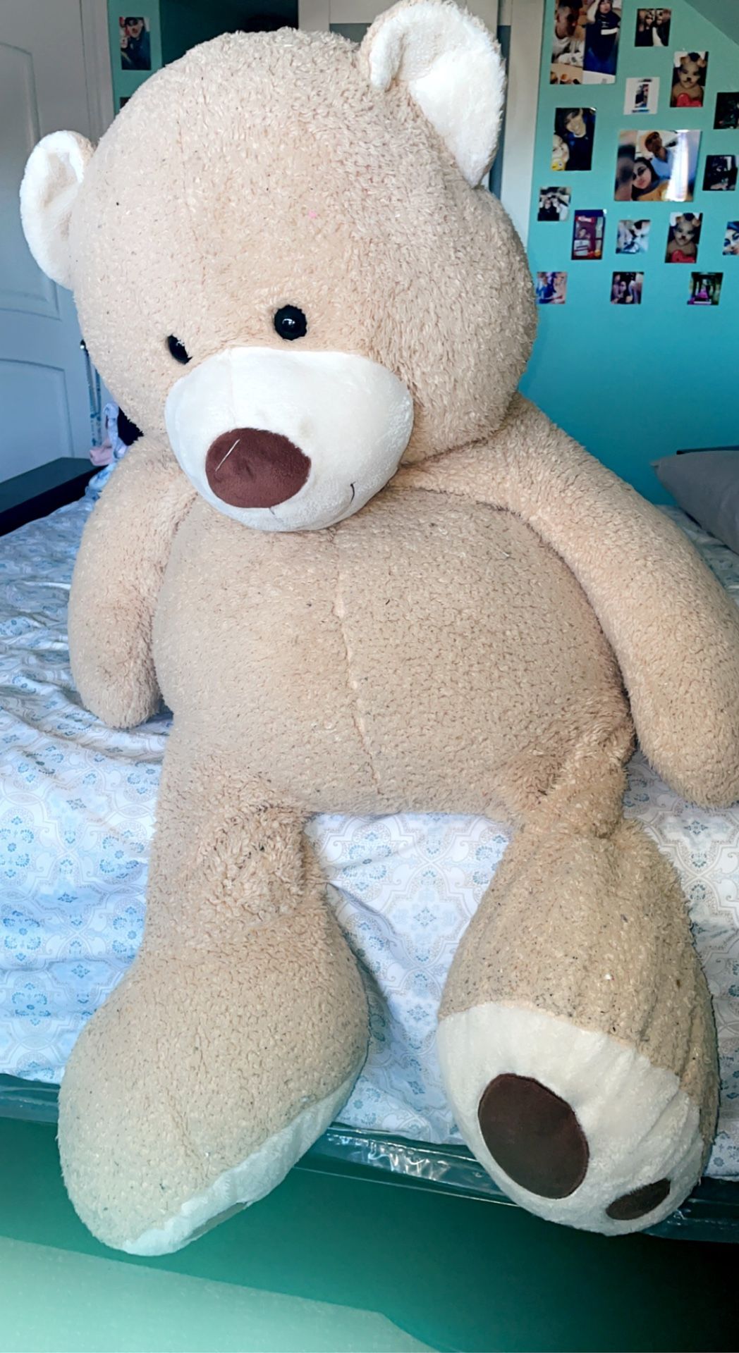 Giant Teddy Bear !