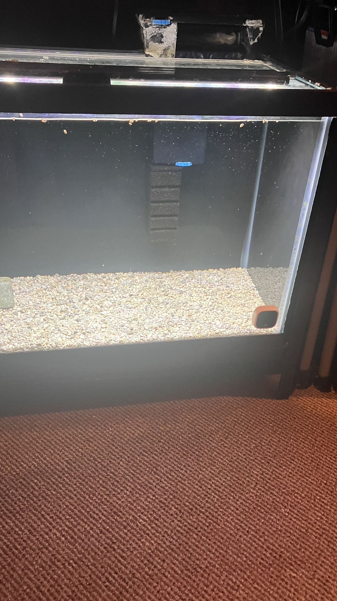 20g High Tank