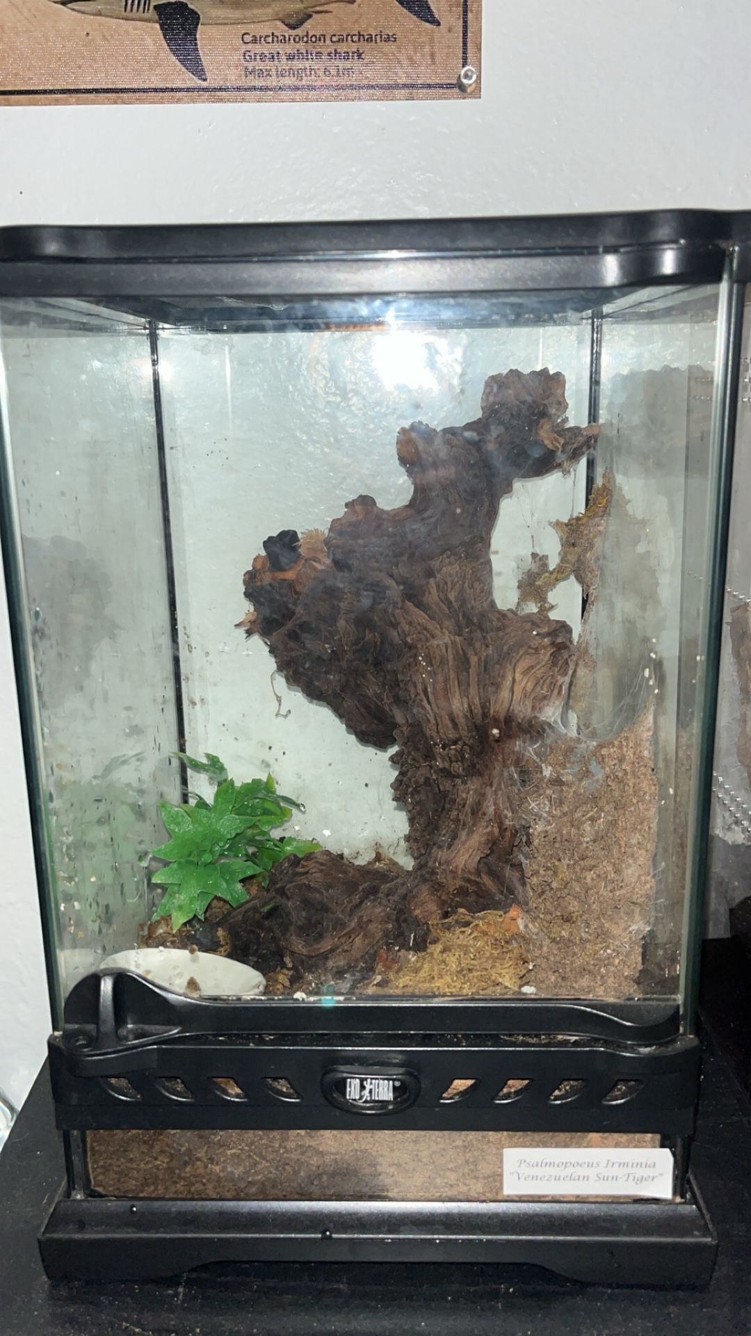 Tank/Enclosure