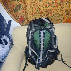 Gregory Backpack