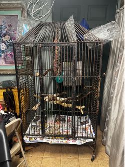 Cage