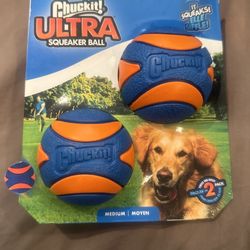 Chunk It ! Squeaker Ball