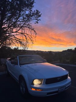 Convertible Mustang