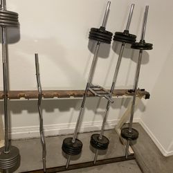 Barbell Weights 