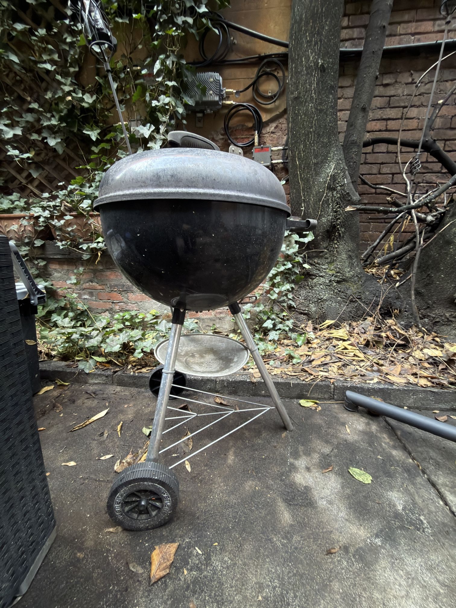 Weber Charcoal Grill