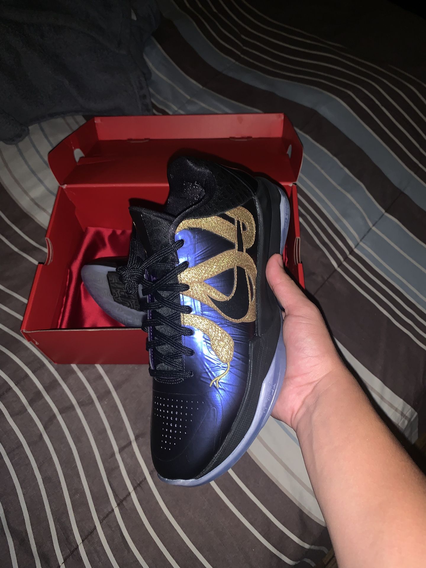 Kobe 5 V Protro