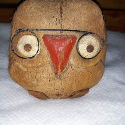 Really Cute And Unique Coconut Owl
