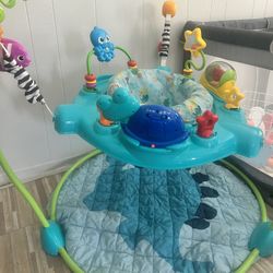 Baby Einstein Bouncer 
