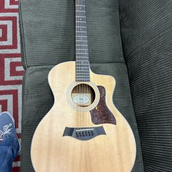 Taylor 12 String/Requinto 200 Series