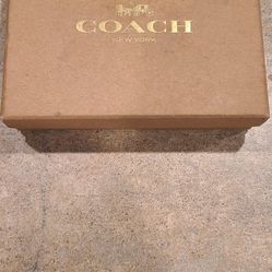 COACH Collection Pebbled Leather Mini Skinny ID Case Pouch NEW BOXED
