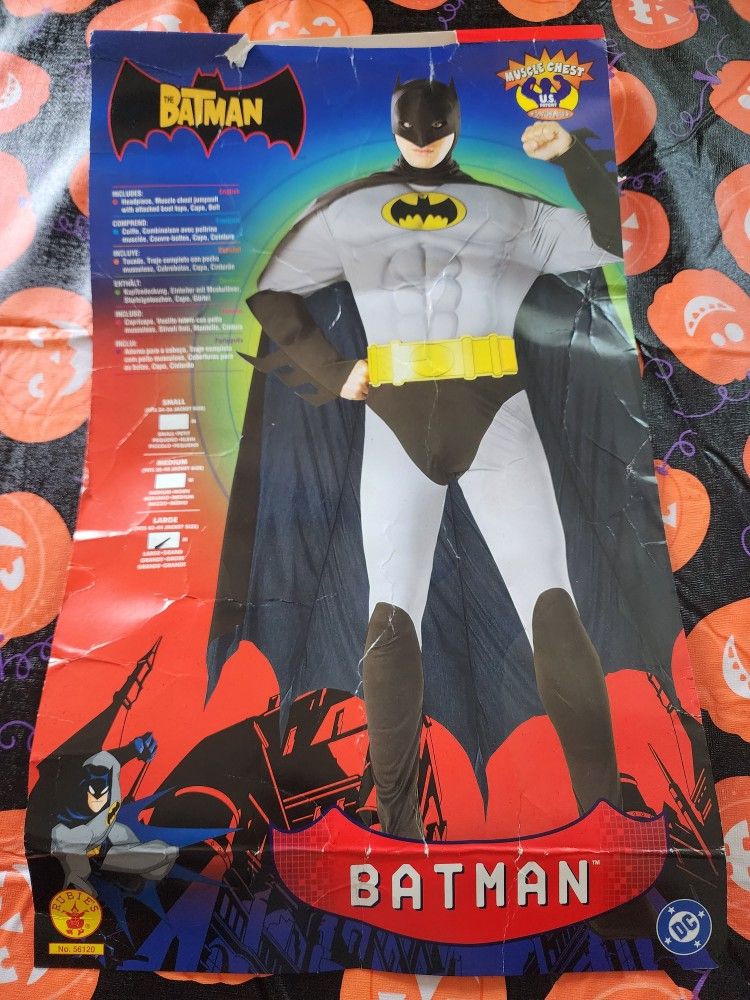Couple Halloween Costume Batman And Bat Girl