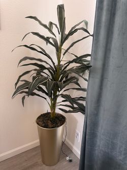 Artificial Dracaena Tree in Gold Planter