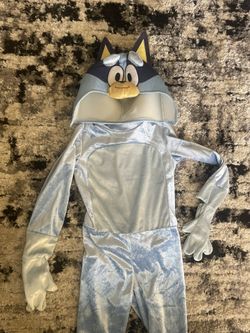 Bluey Costume