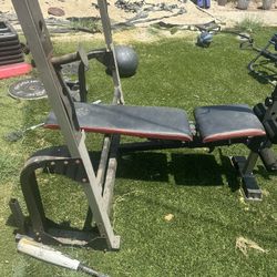 Weight Bench 