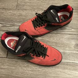 Men’s Size 11 Nike Ishod SB