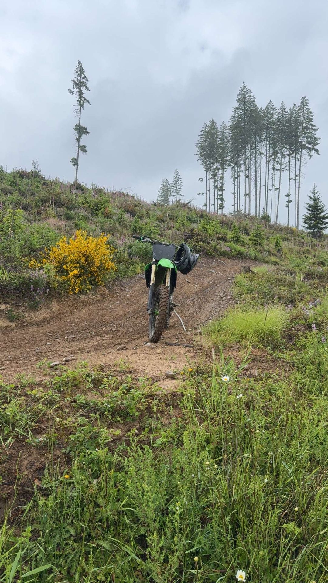 2009 Kawasaki Kx