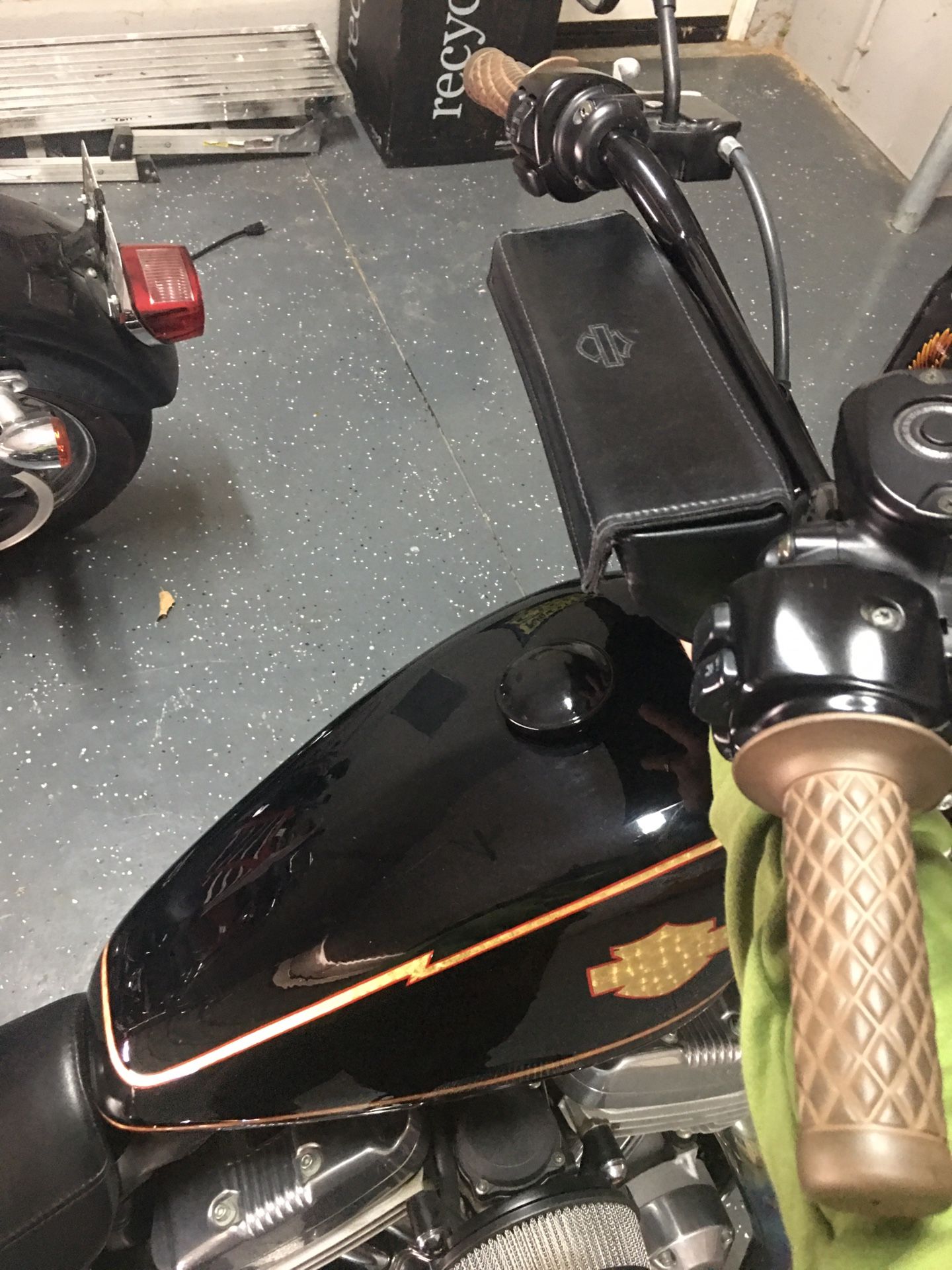 Harley-Davidson leather bag/case